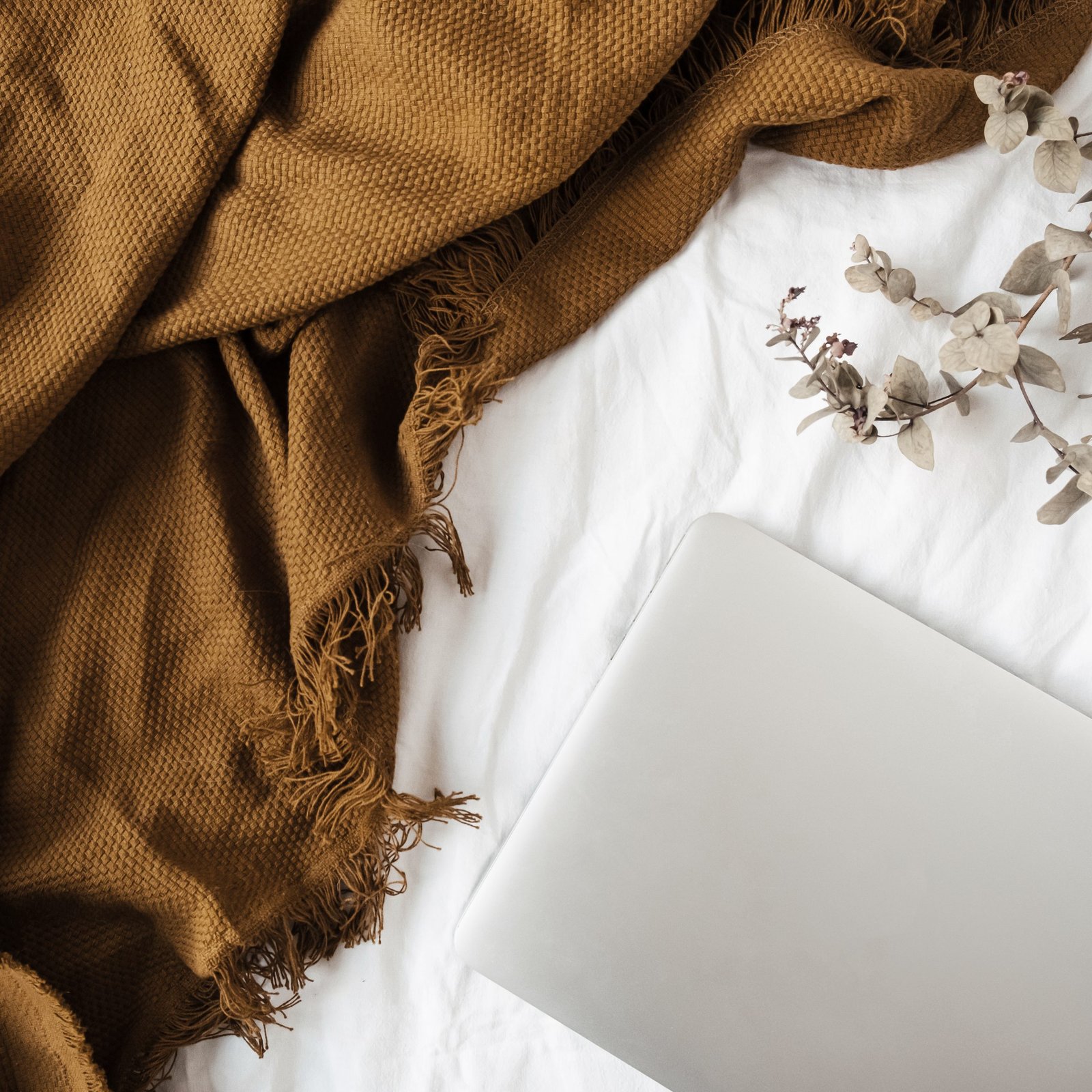 Minimal flat lay, top view lifestyle composition with laptop, eucalyptus branch, ginger plaid on white linen.